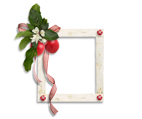 Transparent Adobe Systems Adobe Photoshop Elements Adobe Premiere Pro Picture Frame Christmas Ornament for Christmas