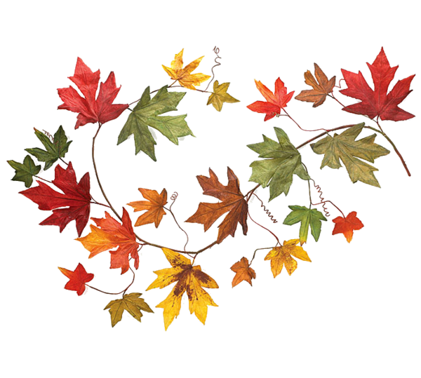 Transparent Autumn Garland To Autumn Leaf Maple Leaf for Christmas