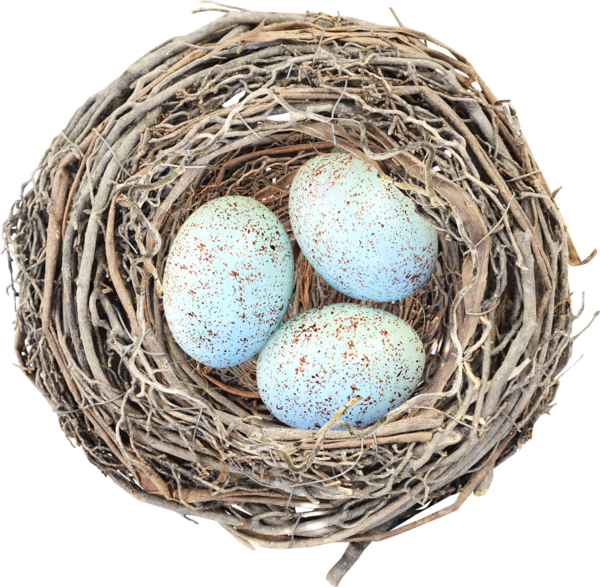 Transparent Egg Bird Bird Nest Nest for Easter