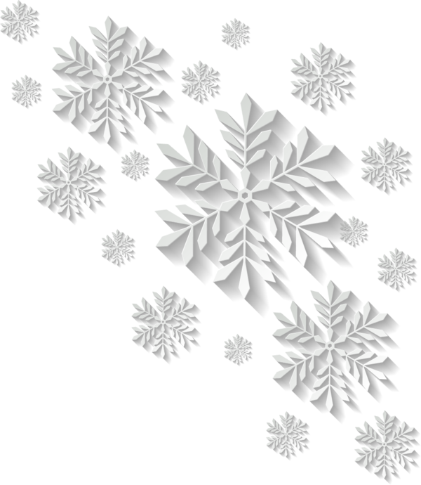 Transparent Snowflake Snowflake Schema Snow White Black And White for Christmas