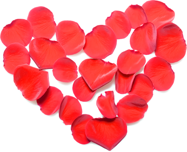 Transparent Valentine's Day Red Petal Heart for Valentine Heart for Valentines Day