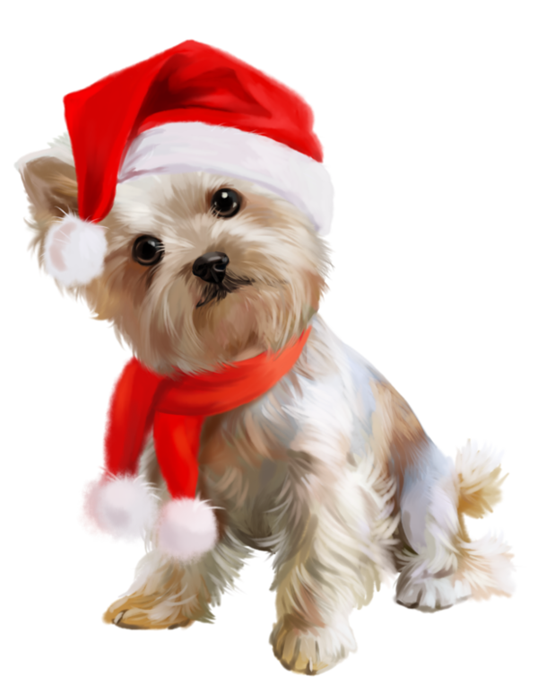 Transparent New Year Dog 2018 Dog Clothes for Christmas