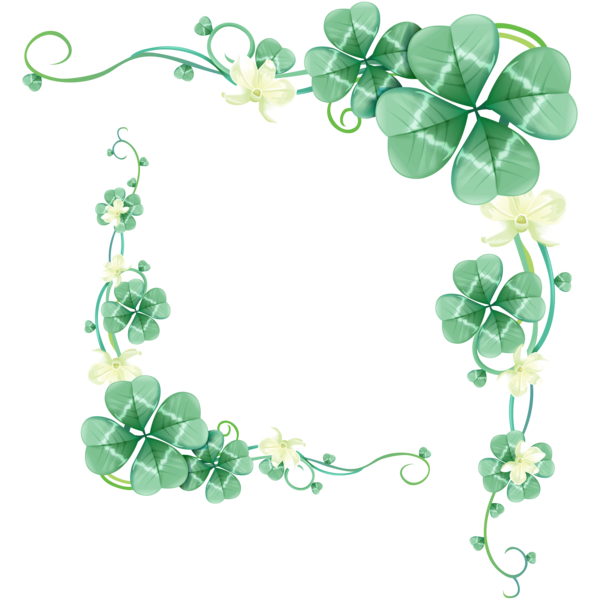 Transparent Fourleaf Clover Green Clover Plant Flora for St Patricks Day