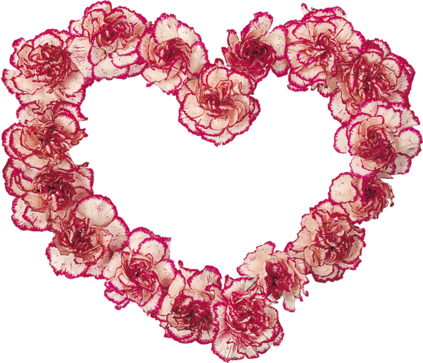 Transparent Carnation Flower Cut Flowers Pink Heart for Valentines Day
