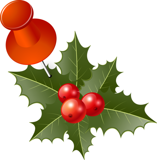 Transparent Christmas Day Common Holly Icon Design Aquifoliaceae Fruit for Christmas