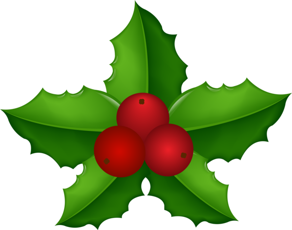 Transparent American Holly Common Holly Christmas Day Holly Leaf for Christmas