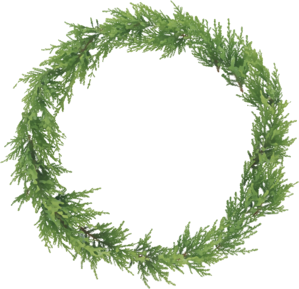 Transparent Leaf Green Wreath Fir Pine Family for Christmas