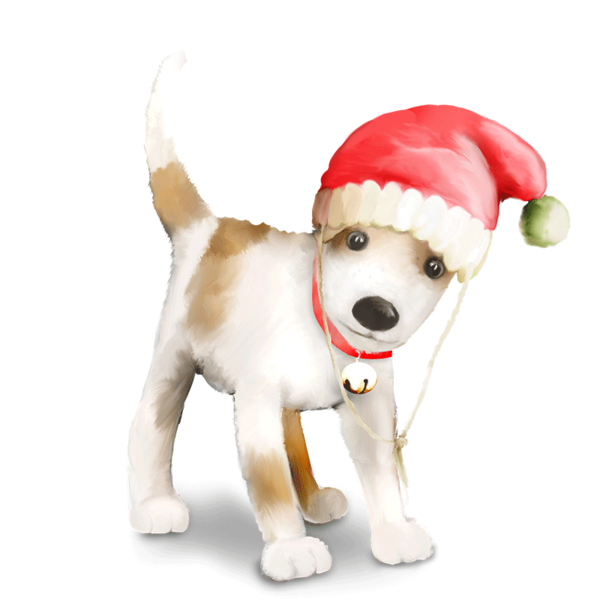 Transparent Puppy French Bulldog Samoyed Dog Dog for Christmas
