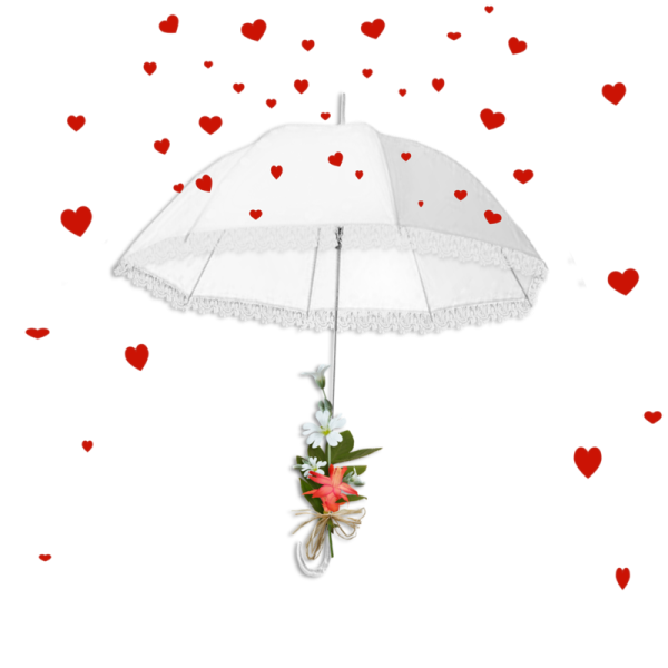 Transparent Umbrella Rain Song Angle Point for Valentines Day