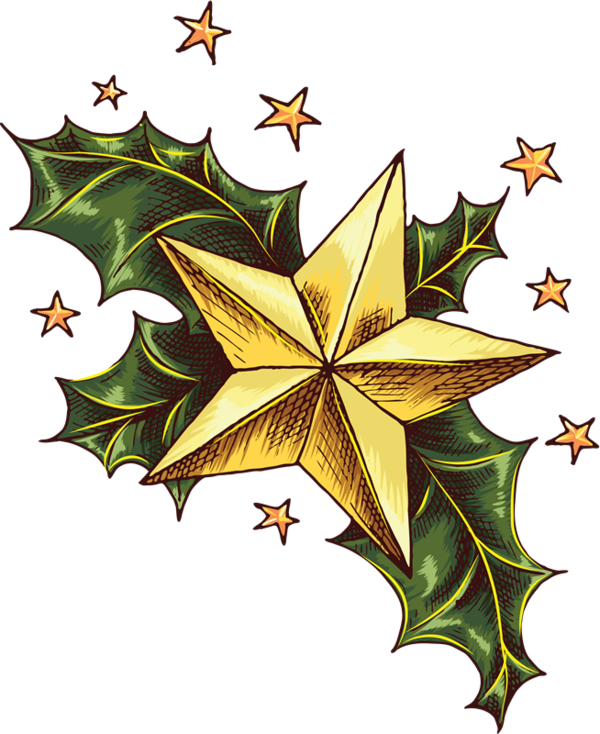 Transparent Christmas Christmas Tree Fivepointed Star Pollinator Plant for Christmas