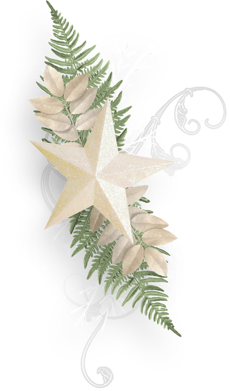 Transparent Christmas Day Scrapbooking Christmas Card Leaf Plant for Christmas