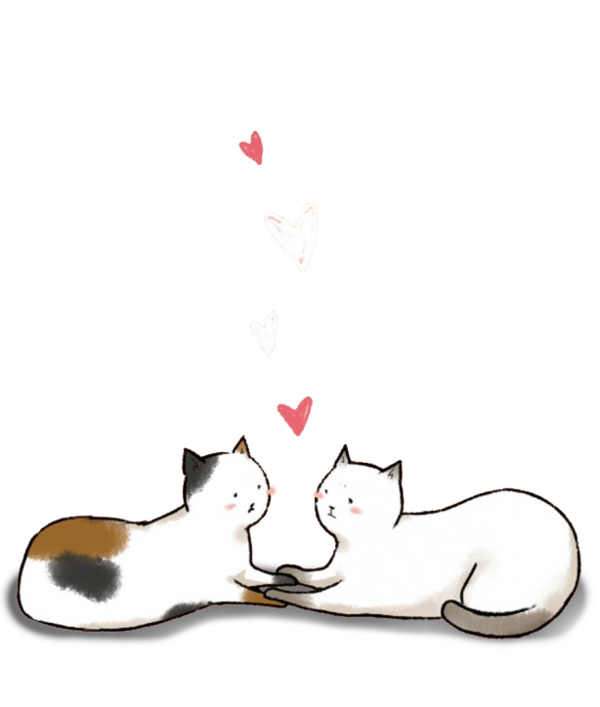 Transparent Cat Love Valentines Day Paw Kitten for Valentines Day