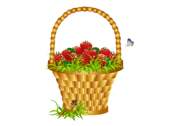 Transparent Food Gift Baskets Easter Basket Basket Flowerpot for Easter