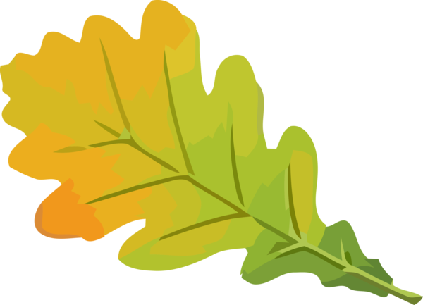 Transparent Thanksgiving Leaf Green Tree for Fall Leaves for Thanksgiving