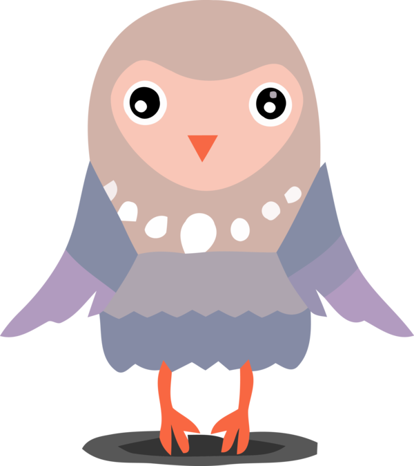 Transparent Thanksgiving Cartoon Bird Owl for Thanksgiving Owl for Thanksgiving