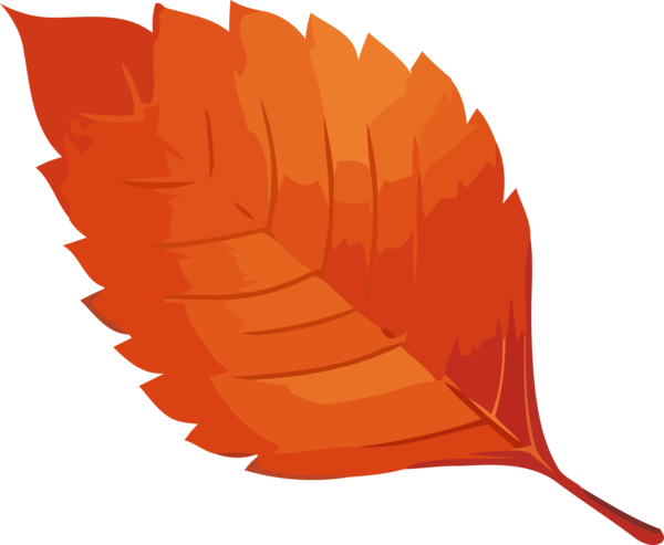 Transparent Thanksgiving Leaf Feather Orange for Fall Leaves for Thanksgiving