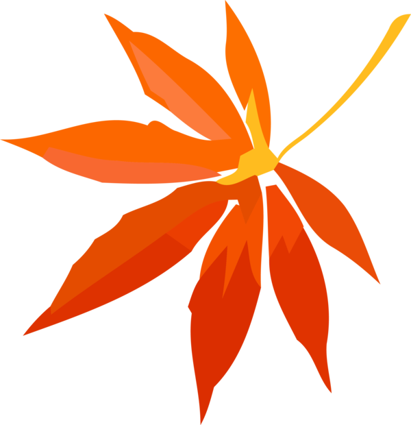 Transparent Thanksgiving Leaf Orange Plant for Fall Leaves for Thanksgiving