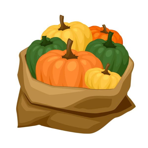 Transparent Thanksgiving Vegetable Calabaza Pumpkin for Thanksgiving Pumpkin for Thanksgiving