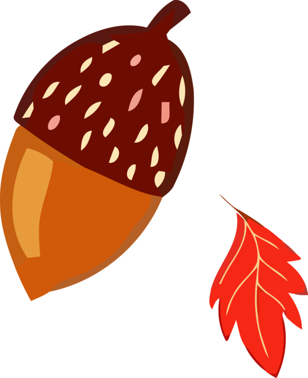 Transparent Thanksgiving Leaf Fruit Orange for Acorns for Thanksgiving