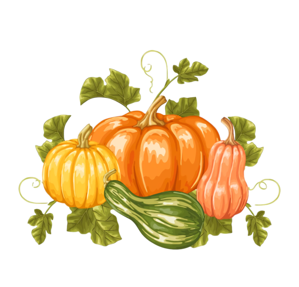 Transparent Thanksgiving Natural foods Vegetable Food for Thanksgiving Pumpkin for Thanksgiving