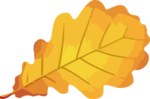 Transparent Thanksgiving Leaf Tree Yellow for Fall Leaves for Thanksgiving