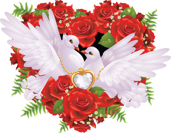 Transparent Columbidae Wedding Bird Petal Heart for Valentines Day