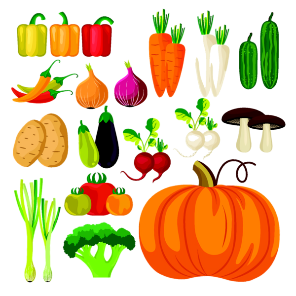 Transparent Thanksgiving Vegetable Food group Carrot for Thanksgiving Pumpkin for Thanksgiving