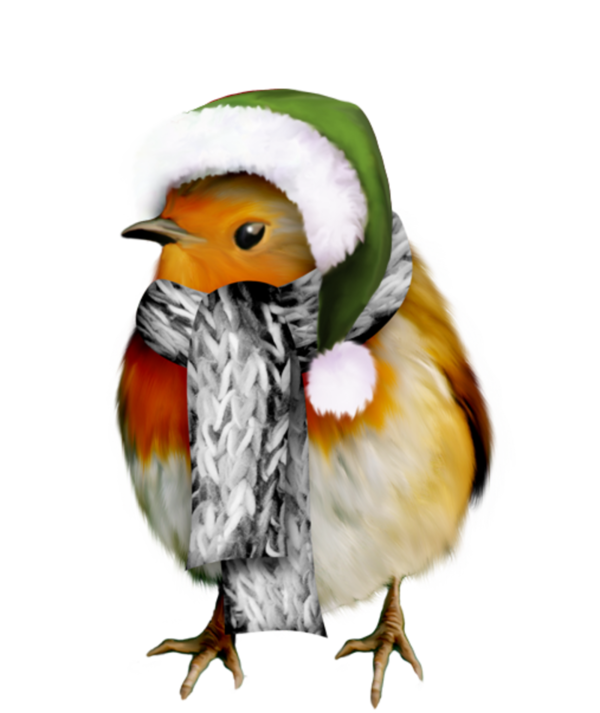 Transparent Christmas Winter Santa Claus Feather Bird for Christmas