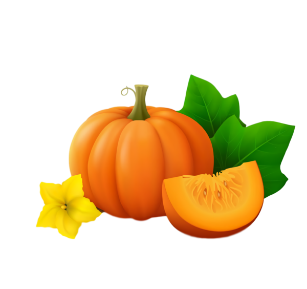 Transparent Thanksgiving Natural foods Orange Calabaza for Thanksgiving Pumpkin for Thanksgiving