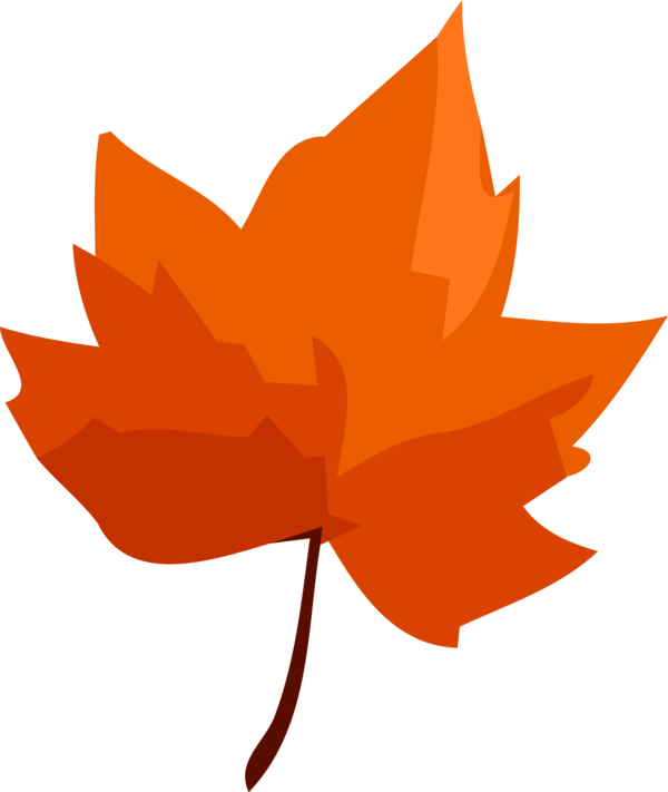 Transparent Thanksgiving Leaf Tree Maple leaf for Fall Leaves for Thanksgiving