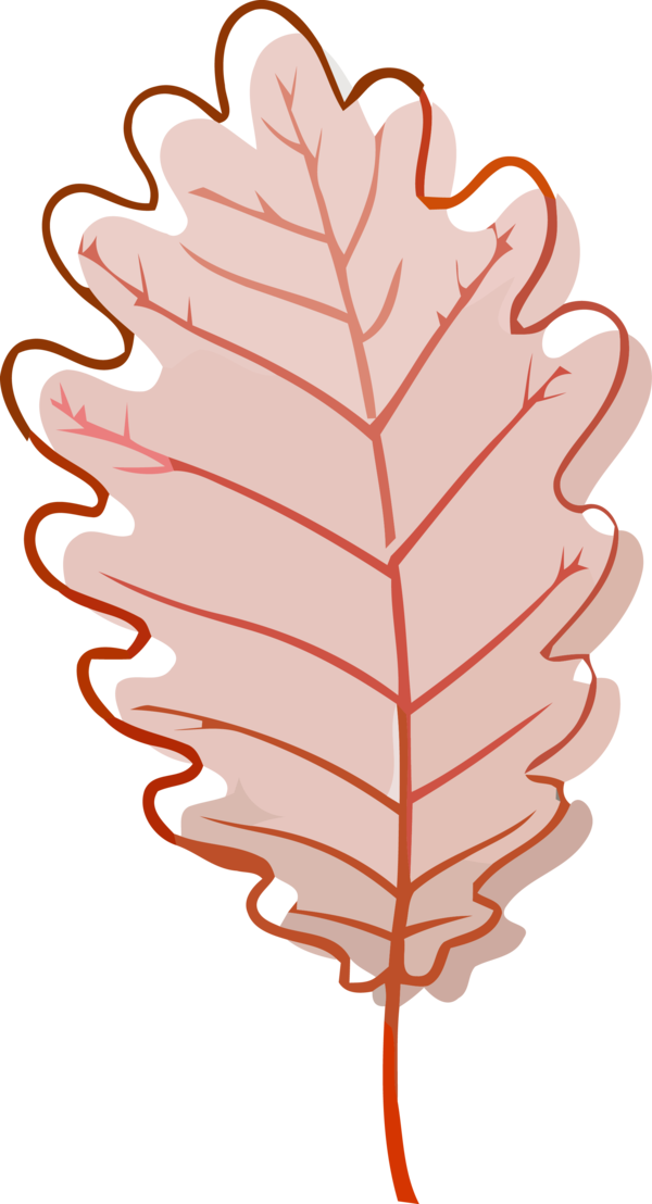 Transparent Thanksgiving Leaf Plant for Fall Leaves for Thanksgiving