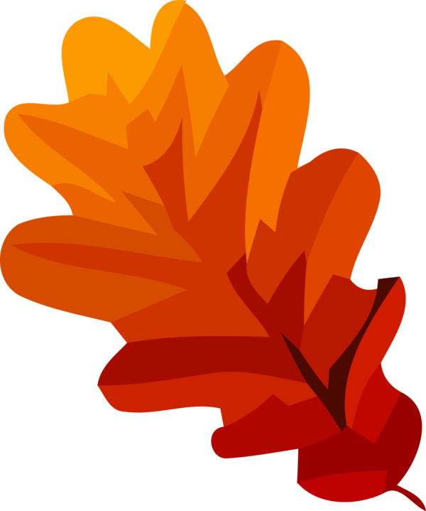 Transparent Thanksgiving Leaf Orange Tree for Fall Leaves for Thanksgiving