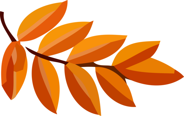 Transparent Thanksgiving Orange Leaf Plant for Fall Leaves for Thanksgiving