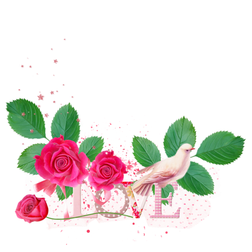Transparent Garden Roses Valentine S Day Flower Pink Plant for Valentines Day
