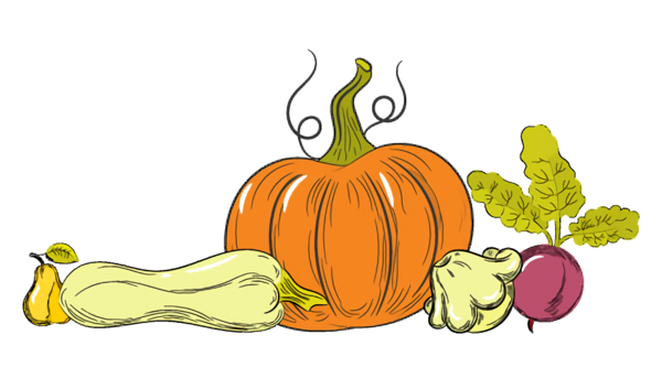 Transparent Thanksgiving Natural foods Pumpkin Calabaza for Thanksgiving Pumpkin for Thanksgiving