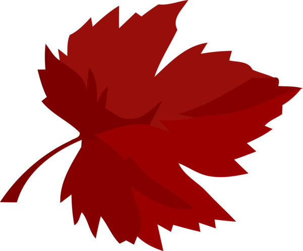 Transparent Thanksgiving Leaf Red Tree for Fall Leaves for Thanksgiving