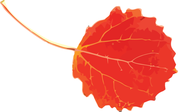 Transparent Thanksgiving Leaf Red Orange for Fall Leaves for Thanksgiving