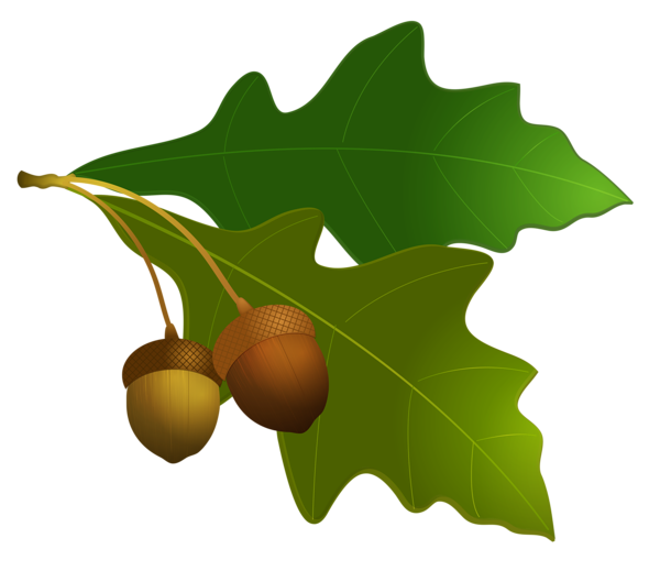 Transparent Oak Leaf Acorn Tree for Christmas