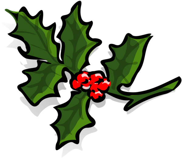 Transparent Christmas Mistletoe Symbol Plant Flora for Christmas
