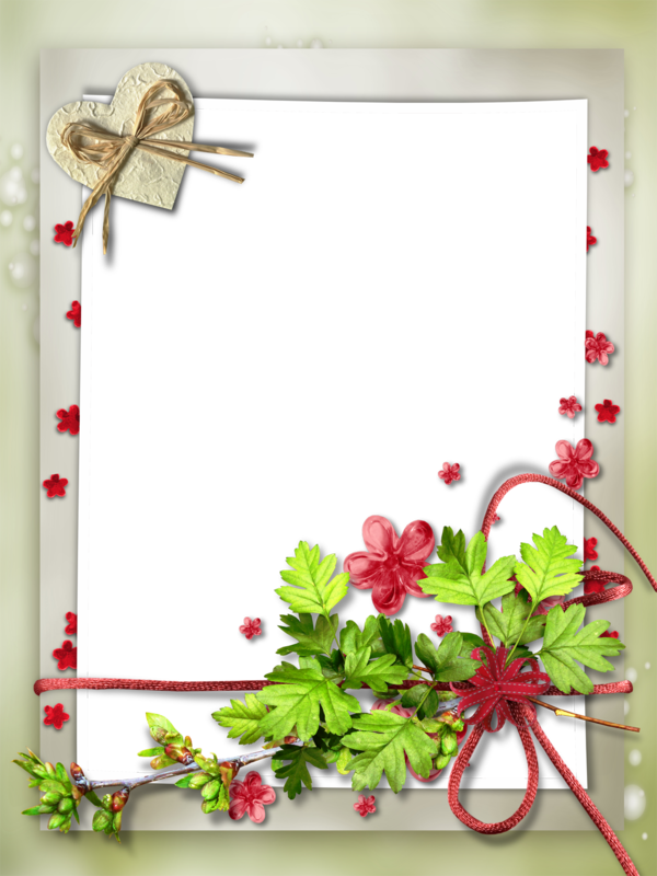 Transparent Picture Frame Idea Film Frame Flower for Valentines Day