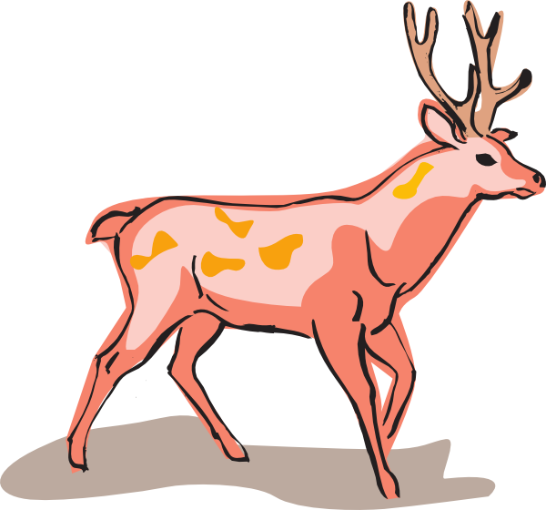 Transparent Deer Red Deer Fallow Deer Red Fox Wildlife for Christmas
