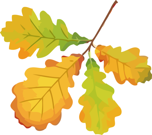 Transparent Thanksgiving Leaf Grape leaves Tree for Fall Leaves for Thanksgiving