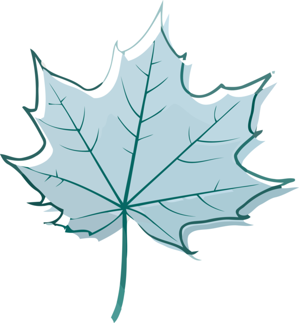 Transparent Thanksgiving Leaf Maple leaf Tree for Fall Leaves for Thanksgiving