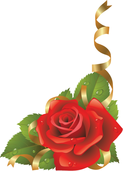 Transparent Heart Symbol Love Petal Plant for Valentines Day