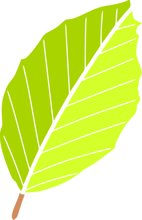 Transparent Thanksgiving Leaf Plant Line for Fall Leaves for Thanksgiving