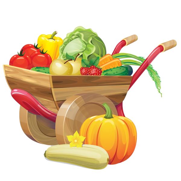 Transparent Thanksgiving Vegetable Natural foods Food group for Thanksgiving Pumpkin for Thanksgiving