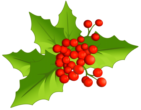 Transparent Holly Leaf American Holly for Christmas