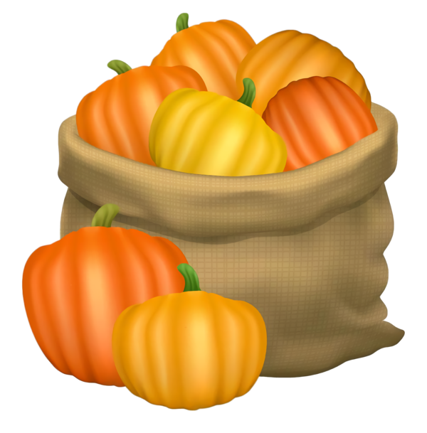 Transparent Thanksgiving Natural foods Vegetable Food for Thanksgiving Pumpkin for Thanksgiving