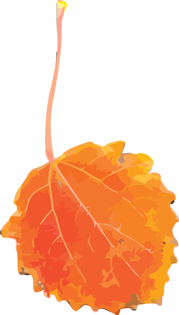 Transparent Thanksgiving Orange Leaf Yellow for Fall Leaves for Thanksgiving