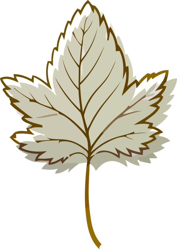 Transparent Thanksgiving Leaf Plant Tree for Fall Leaves for Thanksgiving